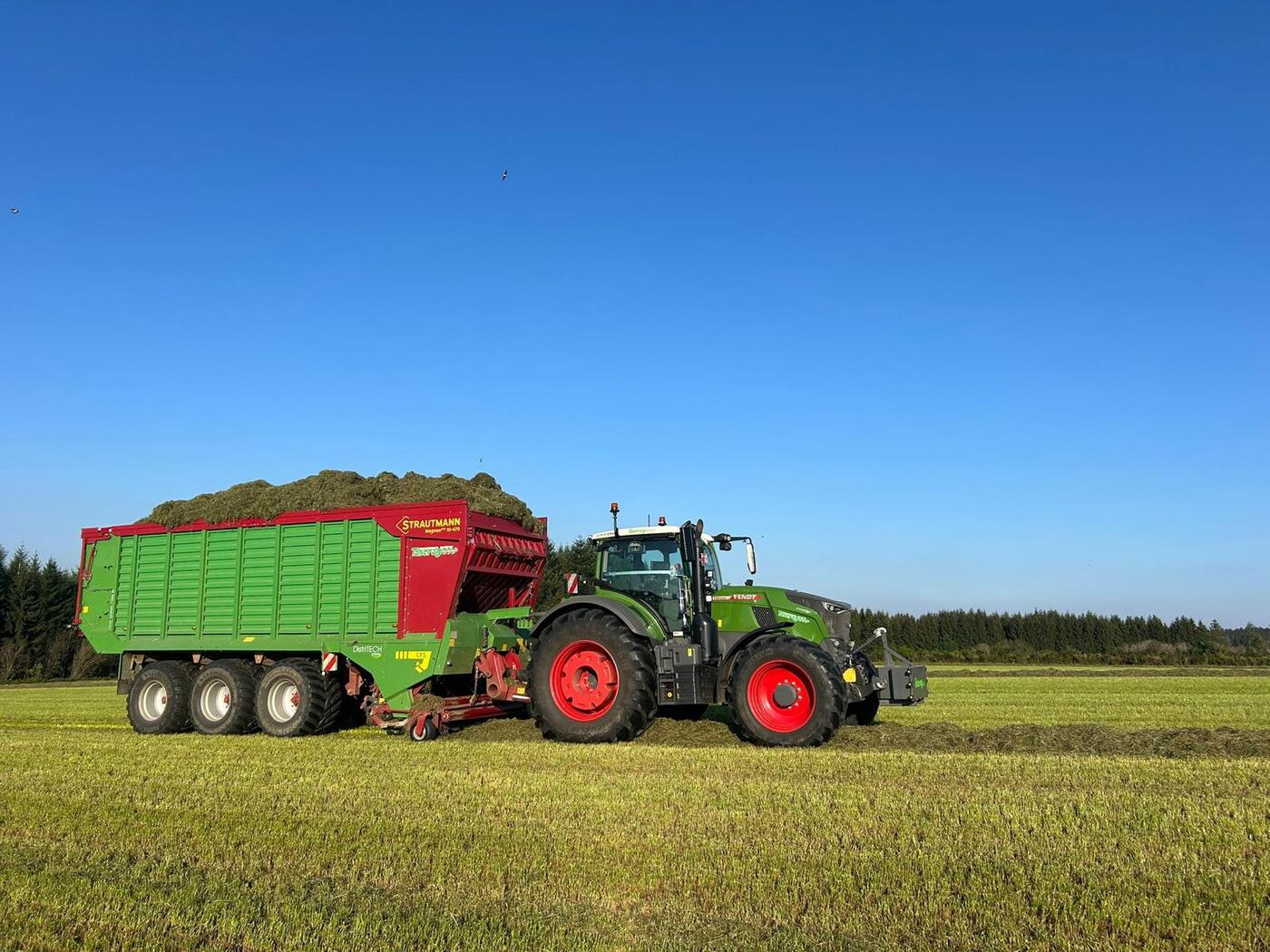 Tracteur Fendt Taserag avec autochargeuse Strautmann pleine en prairie