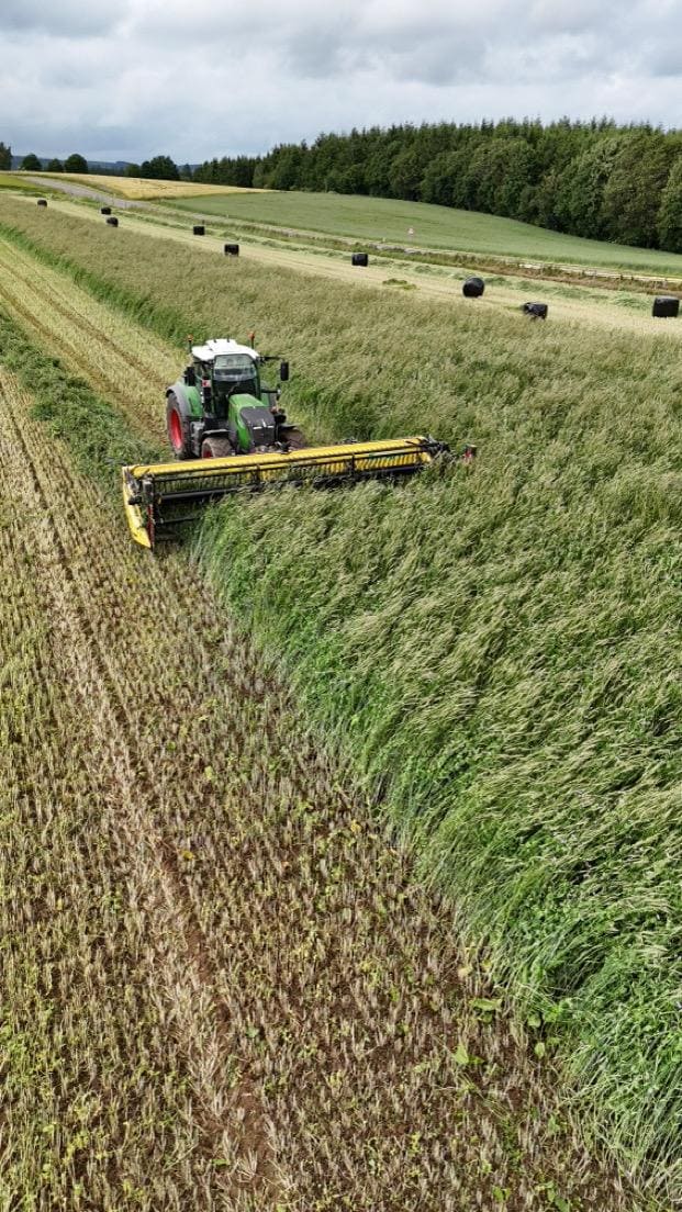 Vue aérienne tracteur Fendt Taserag avec faucheuse Honey Bee en champ